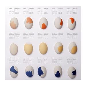 egg like swatches of color and materials