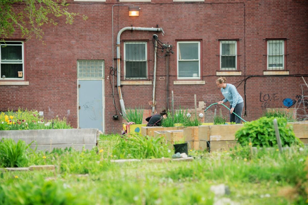Photo of two gardeners watering a blooming garden behind a red brick building in Detroit.