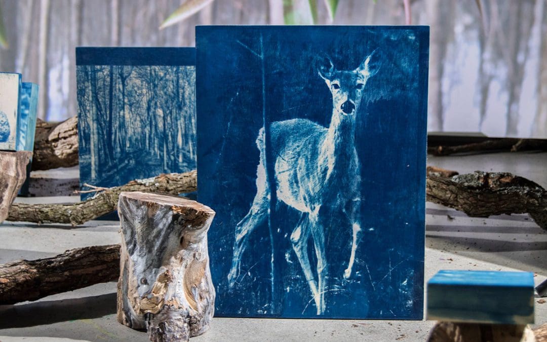 Ingendahl – Deer of Blue Arbor