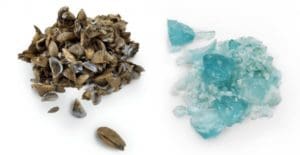 A pile of brown shells and a pile of blue crystals on a white background.