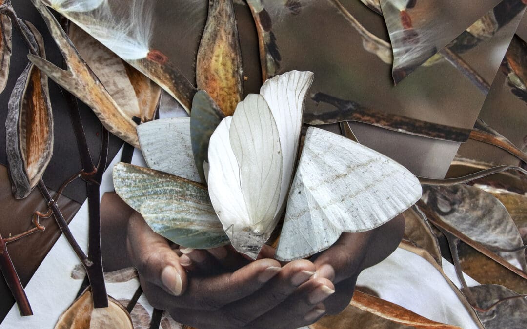 Ethylene Dibromide_Merola