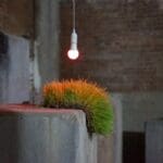 Installation piece. A bare lightbulb hangs over a patch of grass draped over a cement cube.