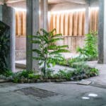 Photo of a concrete room with green shrubs growing around various concrete structures. Sunlight streams in between slats near the ceiling.