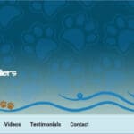 Screenshot of a website header and menu promoting the Wyndsong Cavaliers.