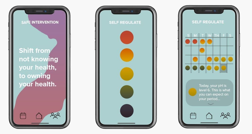 App design for the Blot Project