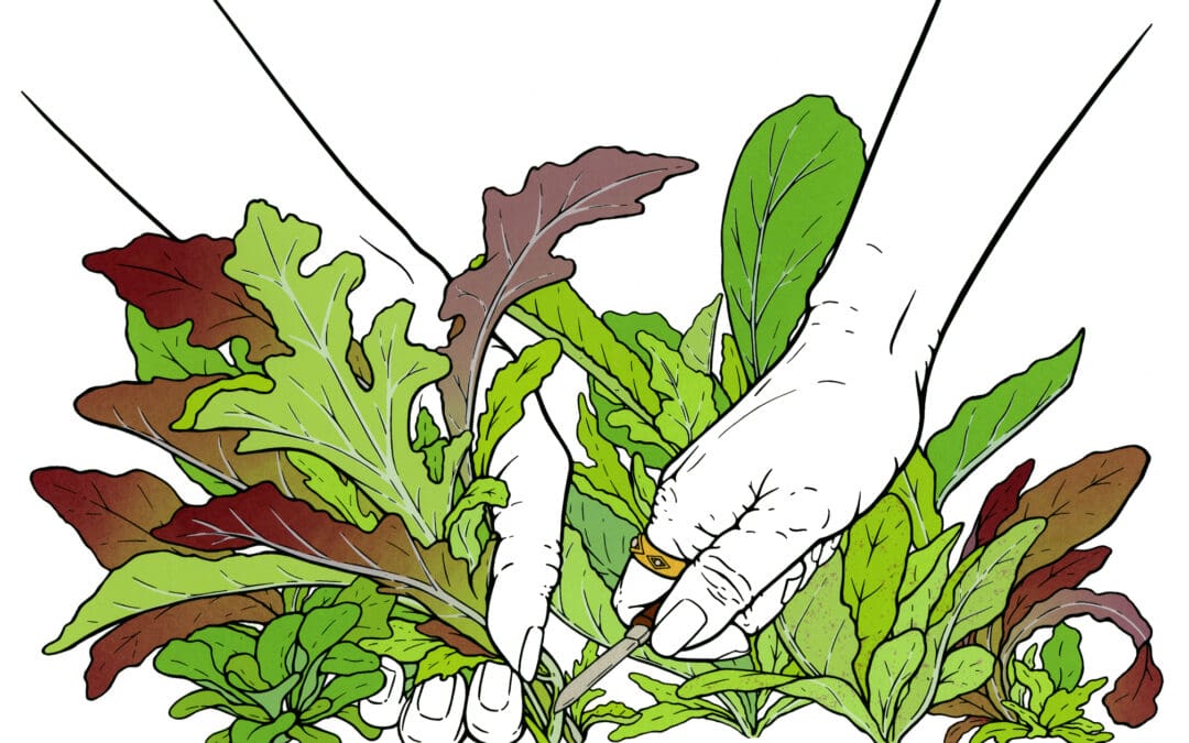 Tonja Torgerson – 4