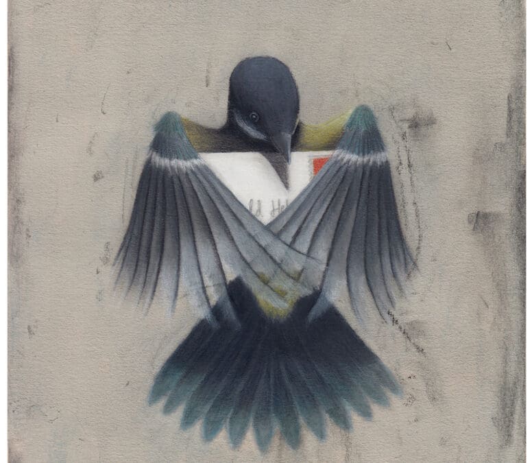 Nicole Miazgowicz – 11