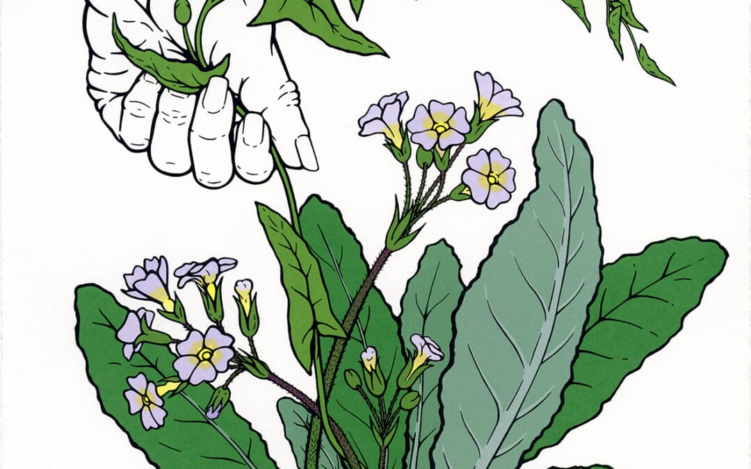 Tonja Torgerson – 3