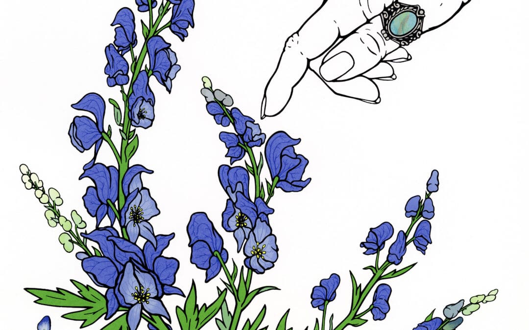 Tonja Torgerson – 2