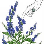 A hand reaching downwards with the pointer finger towards blue hooded flowers. The hand has a detailed teal ring on the thumb.
