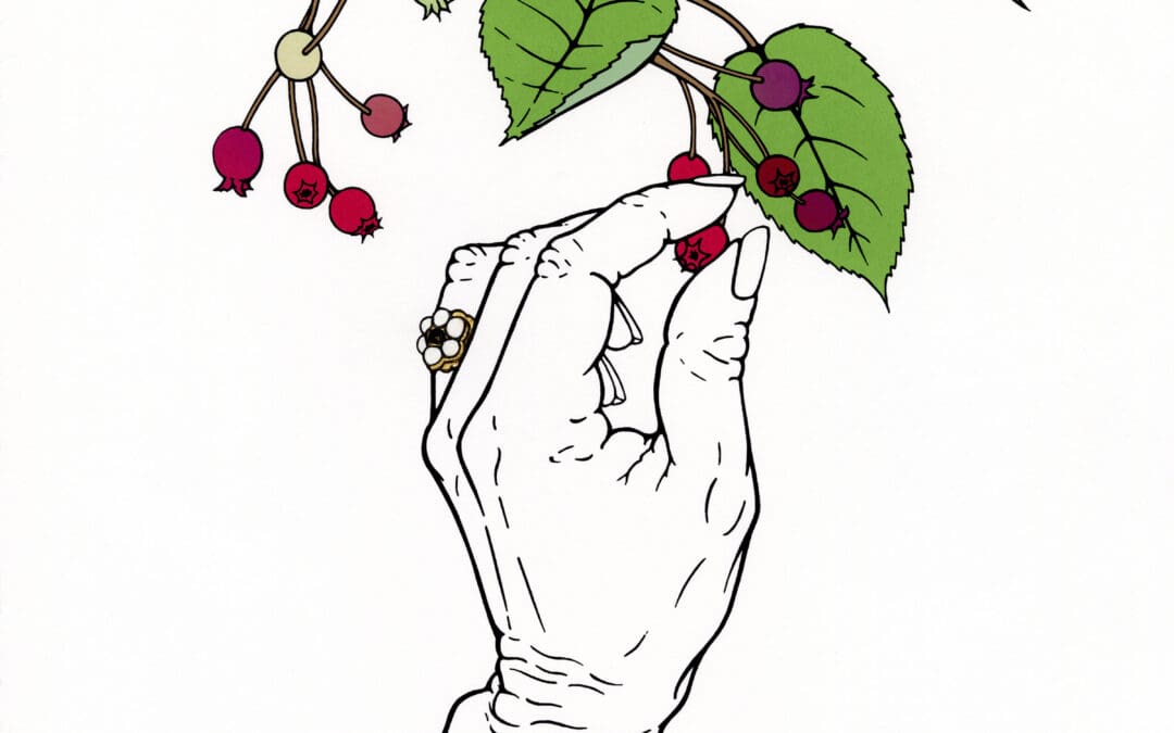 Tonja Torgerson – 1