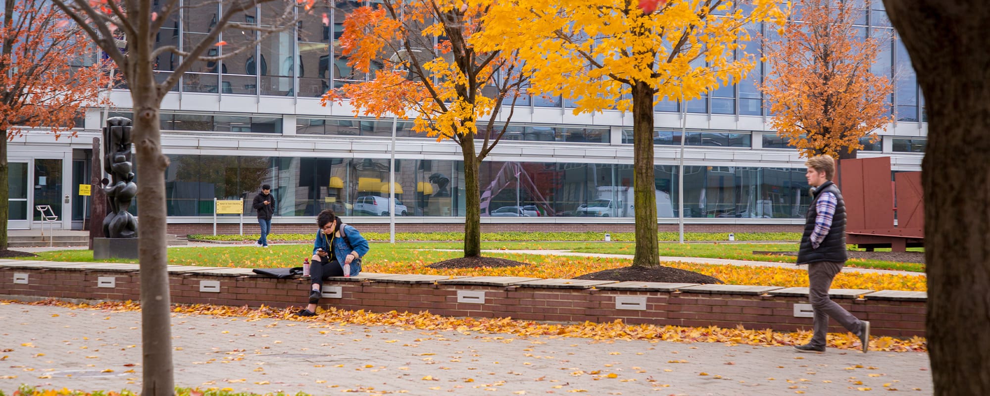 CCS students walk amongst the falling autumn leaves on campus.