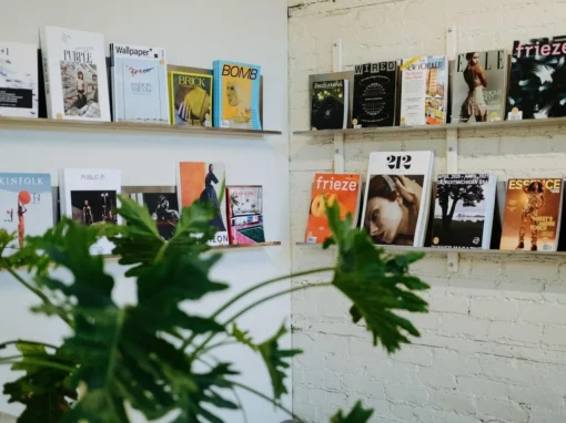 A close-up, slightly blurry shot of a green houseplant in the foreground with two narrow white shelves filled with various magazines in the background.