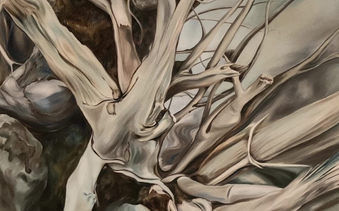 Wendelin Wilson – 4