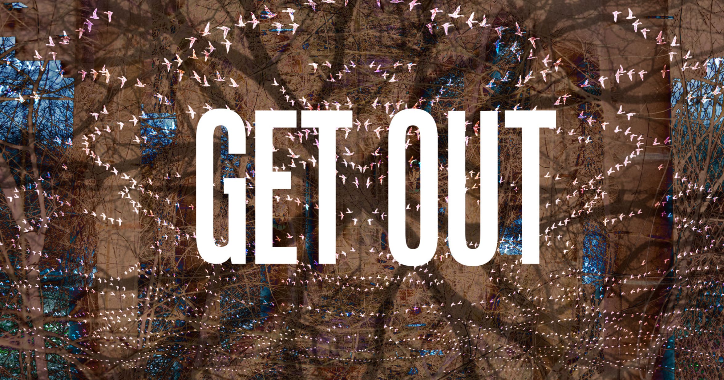 Striking photo collage featuring the bold white text GET OUT centered over a complex, layered image of winter trees and flying birds.