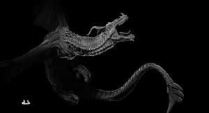 a dragon on a black back ground