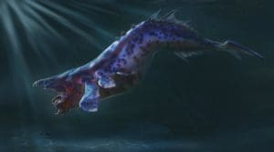 a purple fish under water