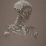 a skeleton looking over its left shoulder