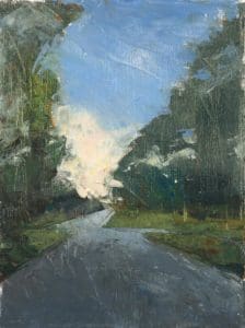 trees bordering a street